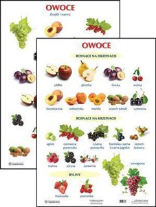 Obrazek Plansza Owoce