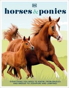 Bild von Horses & Ponies