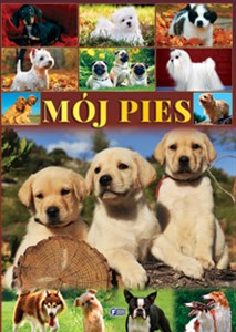 Bild von Mój pies