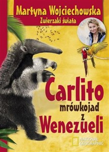 Obrazek Carlito mrówkojad z Wenezueli