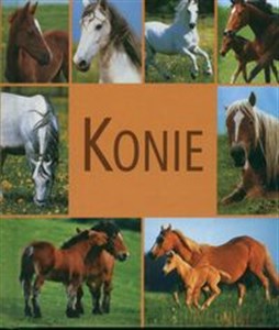 Bild von Konie