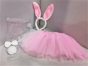 Polnische buch : Strój Król...