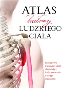 Obrazek Atlas budowy ludzkiego ciała