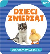 Biblioteka... - Opracowanie Zbiorowe -  Polnische Buchandlung 