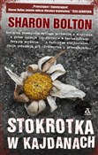 Stokrotka ... - Sharon Bolton -  polnische Bücher