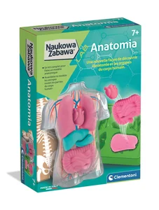 Obrazek Anatomia 50252