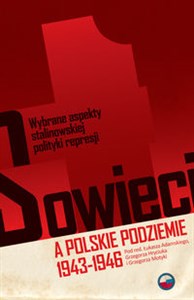 Bild von Sowieci a polskie podziemie 1943-1946