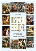 Polnische buch : Historie B... - Dawid Sem