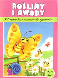 Obrazek Kolorowanka. Rośliny i owady