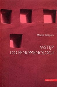 Bild von Wstęp do fenomenologii