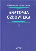 Polska książka : Anatomia c... - Adam Bochenek, Michał Reicher
