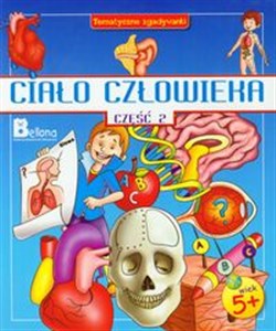 Bild von Ciało człowieka część 2 Tematyczne zgadywanki wiek 5+