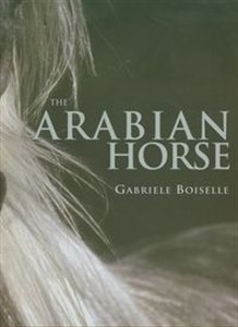 Bild von Arabian Horse