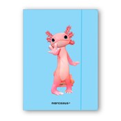 Polnische buch : Teczka A4 ...