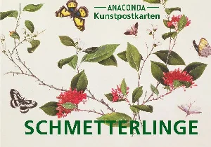 Obrazek POSTKARTEN-SET SCHMETTERLINGE