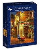 Puzzle 100... -  polnische Bücher