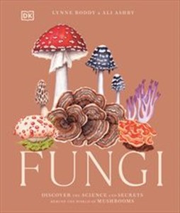 Bild von Fungi