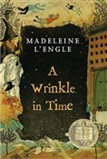 A Wrinkle ... - Madeleine Lengle -  Polnische Buchandlung 