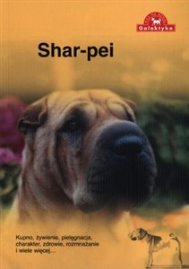 Obrazek Shar Pei