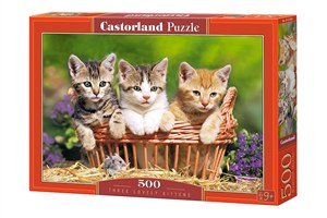Obrazek Puzzle three Lovely kittens 500
