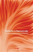 Polnische buch : Światła w ...