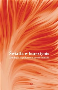 Bild von Światła w bursztynie Antologia współczesnej poezji chińskiej