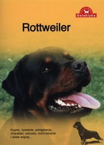 Obrazek Rottweiler