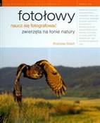 Fotołowy N... - Rostislav Stach -  fremdsprachige bücher polnisch 