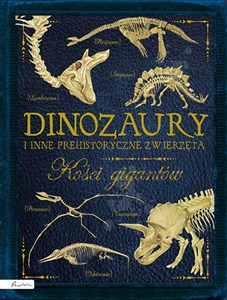 Bild von Dinozaury i inne prehistoryczne zwierzęta. Kości gigantów