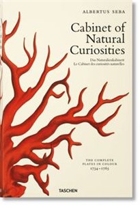 Bild von Cabinet of Natural Curiosities