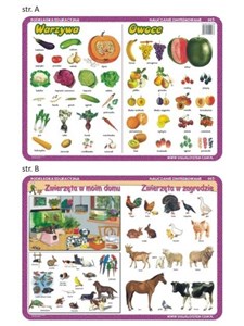 Bild von Podkładka edu. 003 - Warzywa, owoce, zwierzęta