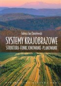 Systemy kr... - Tadeusz Jan Chmielewski -  fremdsprachige bücher polnisch 