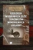 Polnische buch : Geologia w... - Jadwiga Pieczonka, Adam Piestrzyński, Igor Parańko
