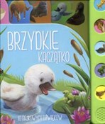 Polnische buch : Brzydkie k... - Opracowanie Zbiorowe