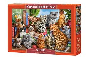 Obrazek Puzzle 2000 House of Cats