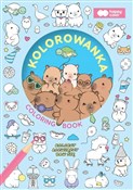 Książka : Kolorowank...