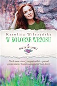 Polska książka : Rok na Kwi... - Karolina Wilczyńska