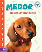Medor najl... - Kwietniewska-Talarczyk Marzena - Ksiegarnia w niemczech