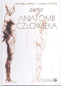 Obrazek Zarys anatomii człowieka