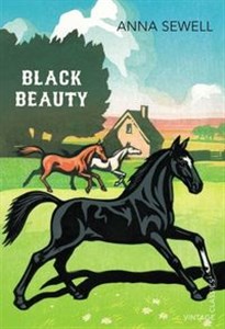 Bild von Black Beauty