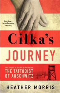 Obrazek Cilka's Journey