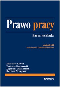 Bild von Prawo pracy Zarys wykładu