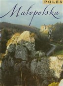 Małopolska... -  fremdsprachige bücher polnisch 