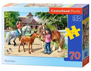 Bild von Puzzle Stud farm 70