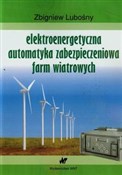 Elektroene... - Zbigniew Lubośny -  fremdsprachige bücher polnisch 