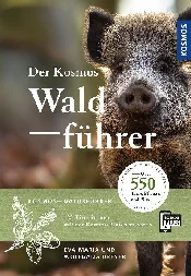 Książka : DREYER, E:...