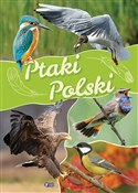 Ptaki Pols... - Opracowanie Zbiorowe -  fremdsprachige bücher polnisch 