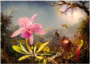 Obrazek Puzzle 100 Orchidea Cattleya i trzy kolibry, Martin Johnson Heade, 1871