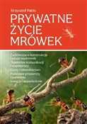 Książka : Prywatne ż... - Krzysztof Pabis