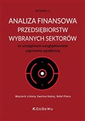 Analiza fi... - Lichota Wojciech, Rabiej Ewelina, Pitera Rafał -  polnische Bücher
